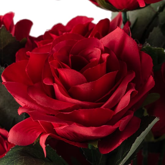 Red Rose Bush by Ashland®